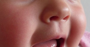 Baby_teeth_in_human_infant